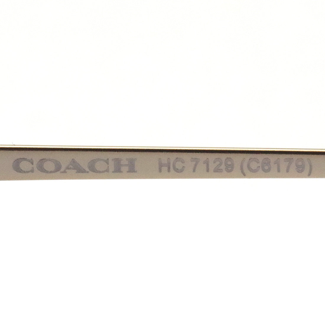 Coach sunglasses Coach HC7129 50028G