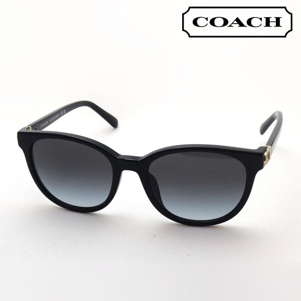 Coach sunglasses Coach HC8350U 50028G