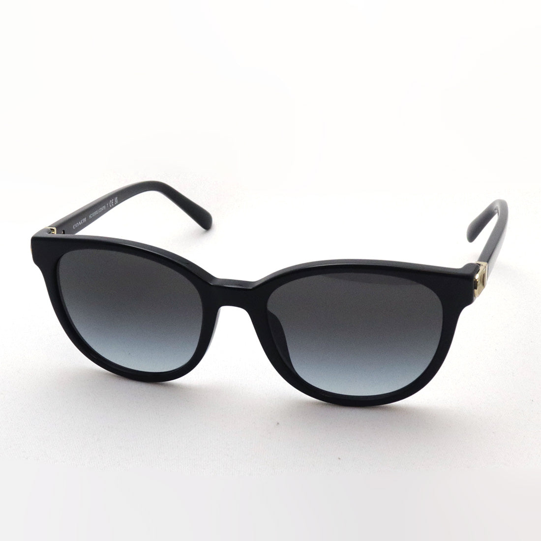 Coach sunglasses Coach HC8350U 50028G