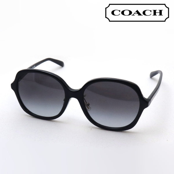 Coach sunglasses Coach HC8360F 50028G