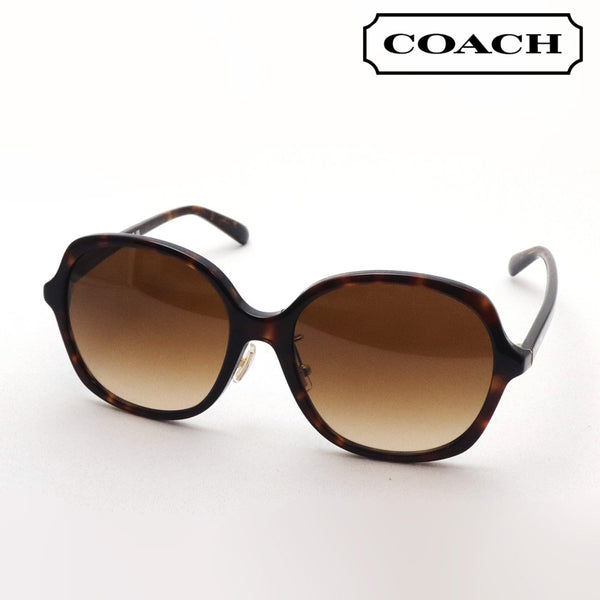 Coach sunglasses Coach HC8360F 512074