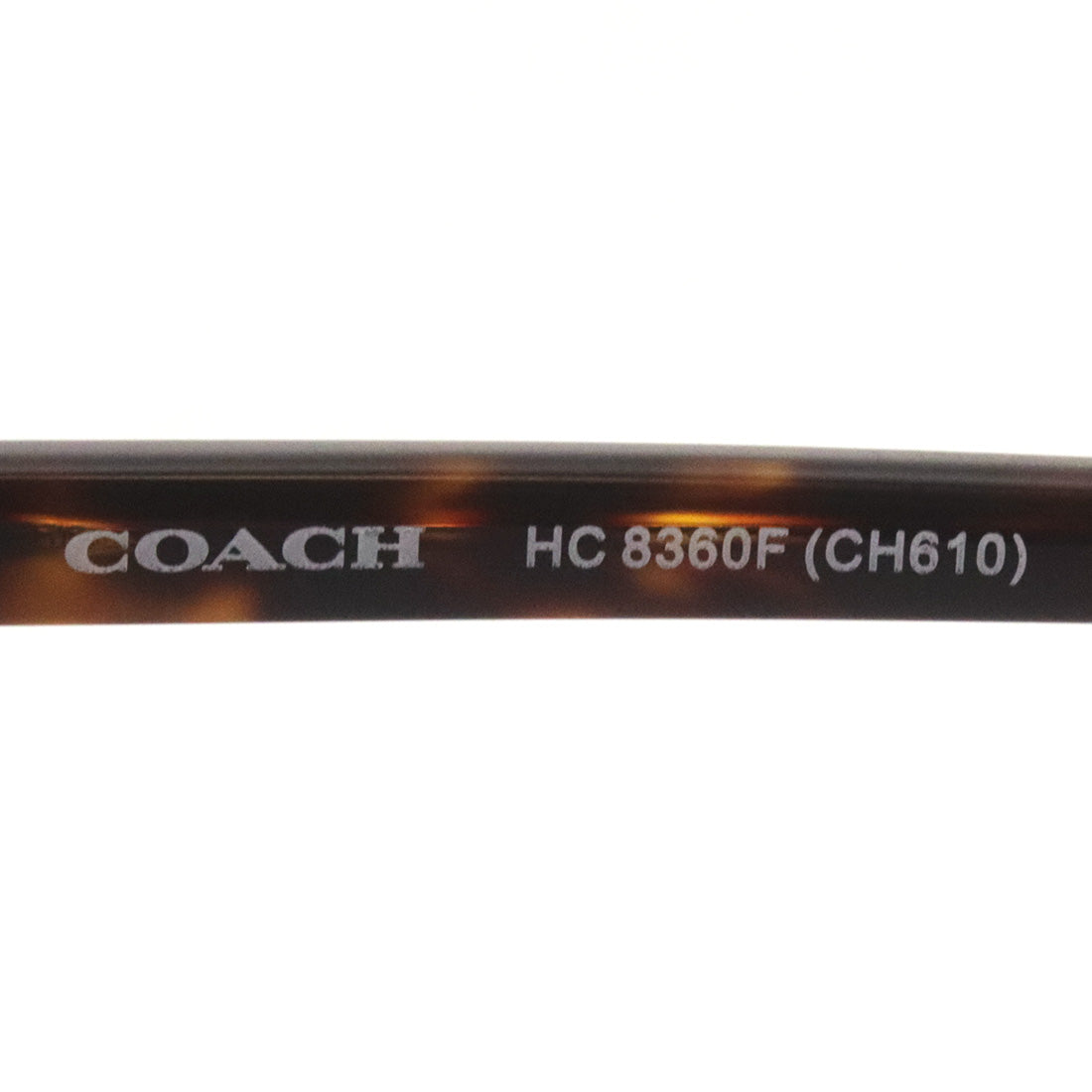 Coach sunglasses Coach HC8360F 512074