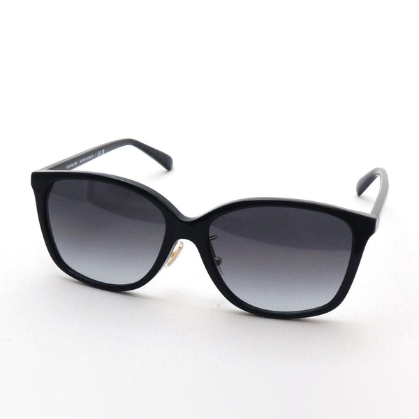 Coach sunglasses Coach HC8361F 50028G