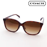 Coach sunglasses Coach HC8361F 574174