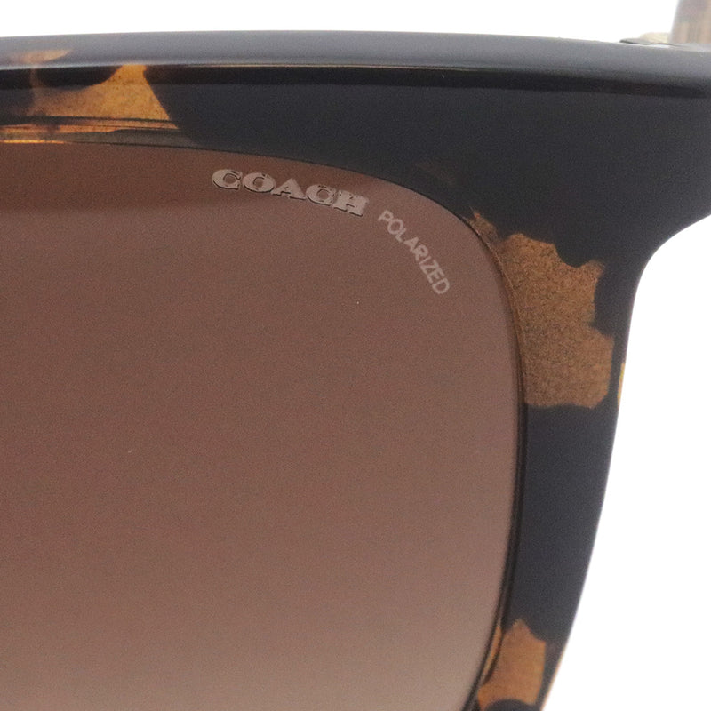 Coach polarized sunglasses COACH C8374F 5120T5 Disney Capsule Collection