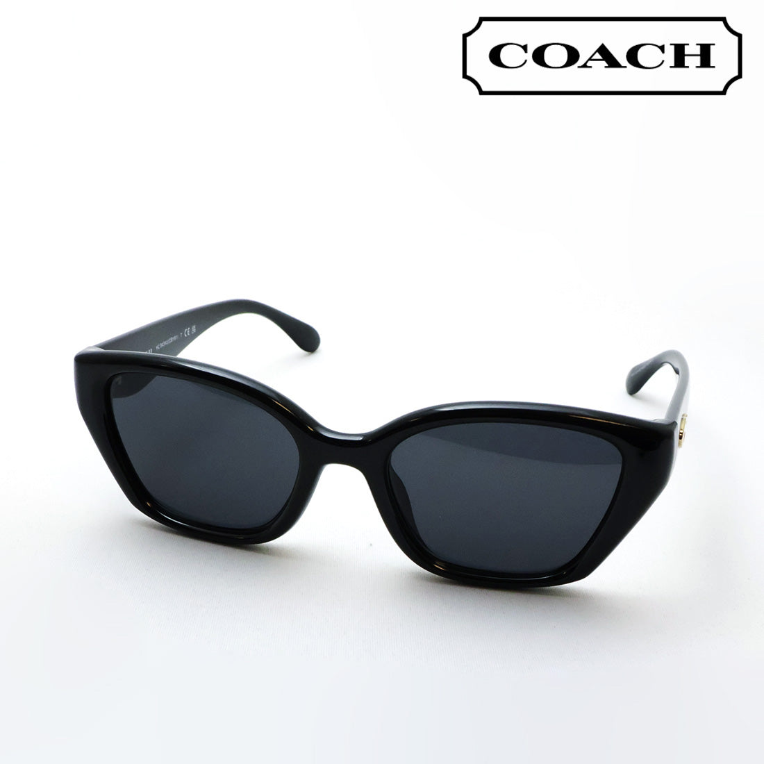 コーチ サングラス COACH HC8434U 500287 53 レディース ウェリントン ブラック系
