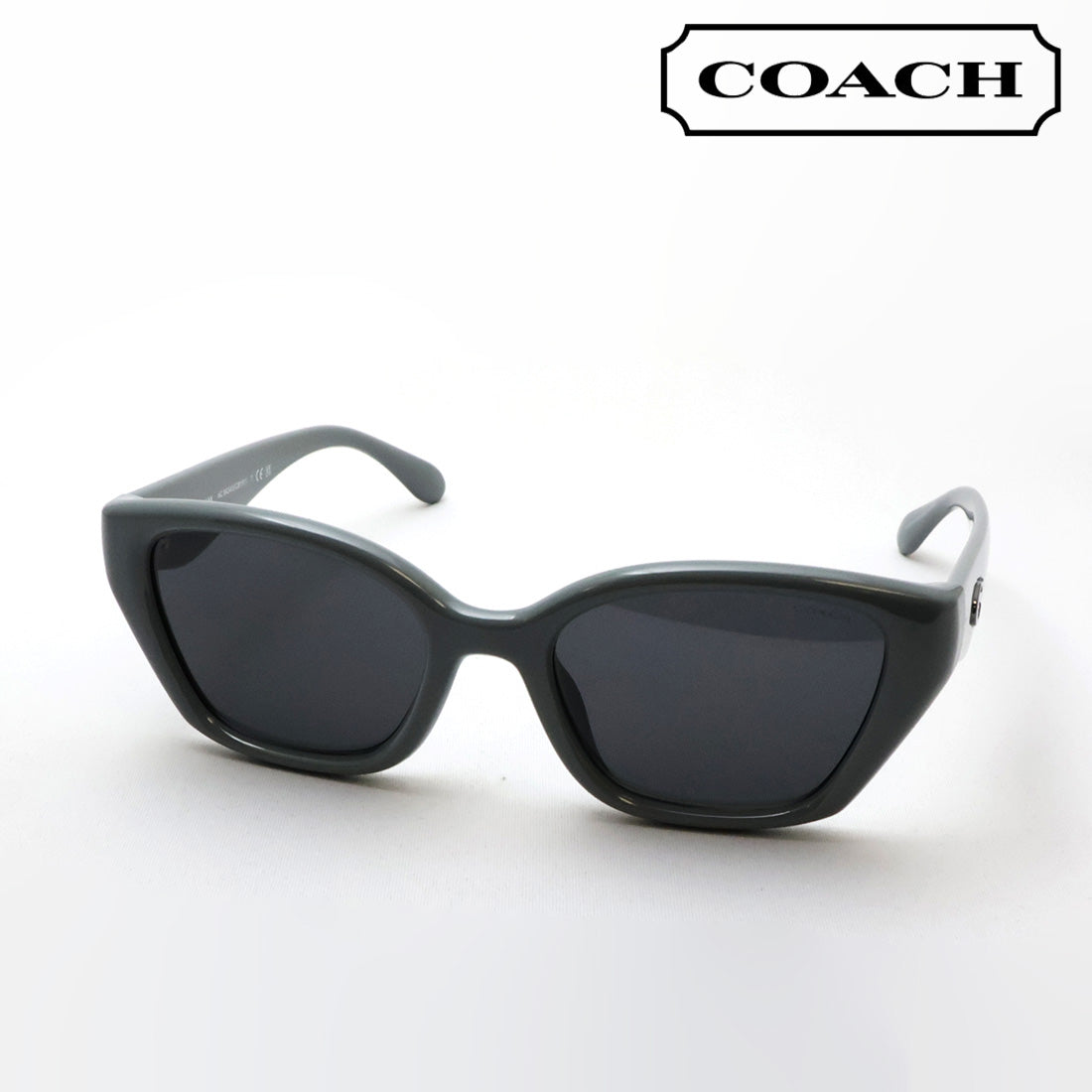 コーチ サングラス COACH HC8434U 592487 53 レディース ウェリントン グレー系