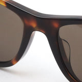 【POLO RALPH LAUREN/ポロラルフローレン 】スクエア サングラス PH4220F 613773 55