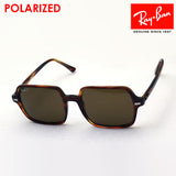 射线阳台偏光太阳镜Ray-Ban RB1973 95457