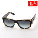 Ray-Ban Sunglasses Ray-Ban RB2187 133286 Wayfarer Nomad