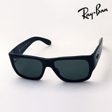 レイバン 偏光サングラス Ray-Ban RB2187 90158 ウェイファーラー ノマド