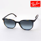 Ray-Ban Sunglasses Ray-Ban RB2197F 13563M Elliott
