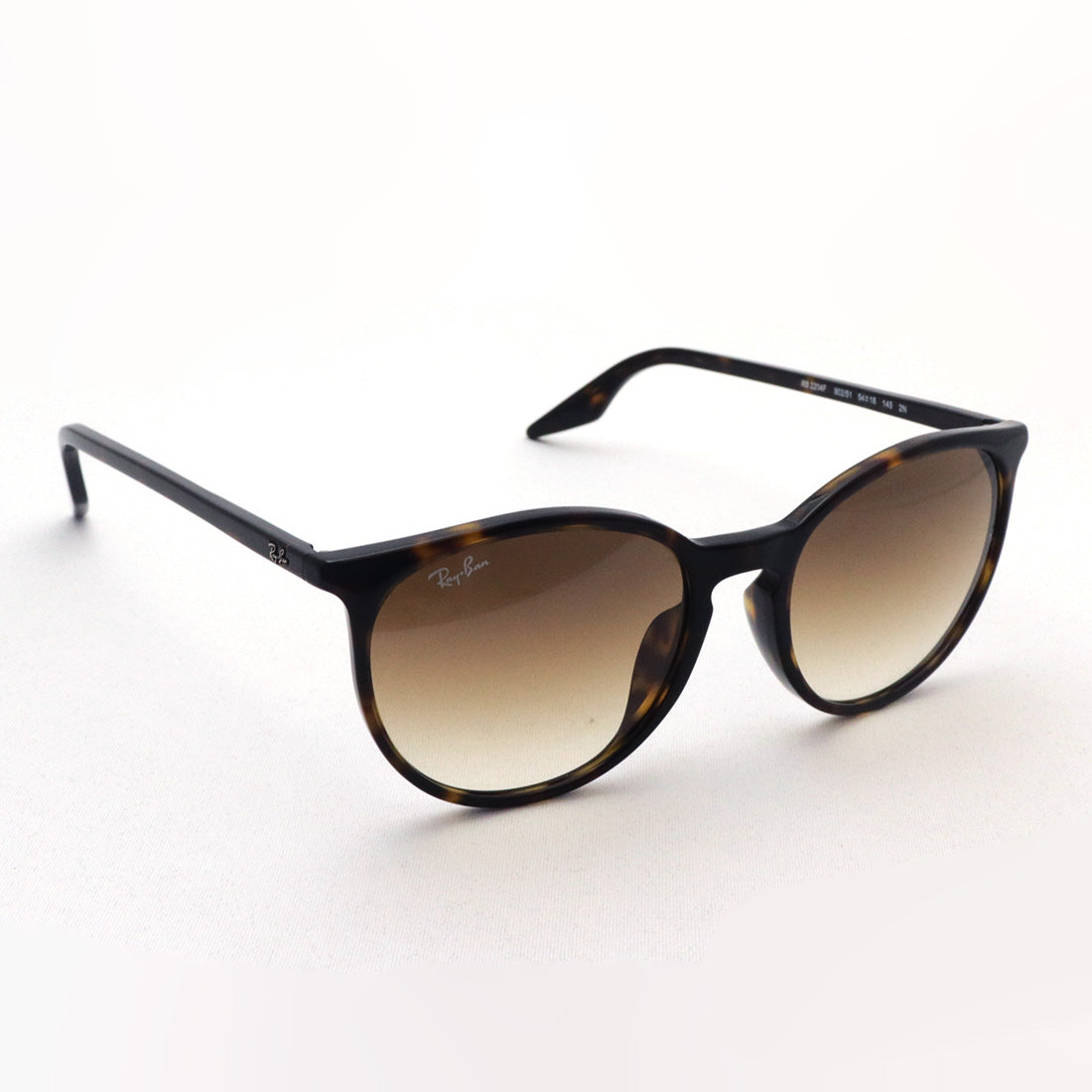 Gafas de sol Ray-Ban Ray-Ban RB2204F 90251