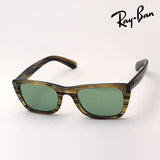 Ray-Ban Sunglasses Ray-Ban RB2248 13134E Caribbean