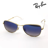 レイバン 偏光サングラス Ray-Ban RB3733 00178