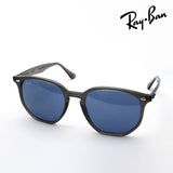 レイバン サングラス Ray-Ban RB4306 687380 54 ボストン グレー系