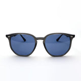 レイバン サングラス Ray-Ban RB4306 687380 54 ボストン グレー系