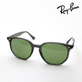 レイバン サングラス Ray-Ban RB4306 687382 54 ボストン グレー系