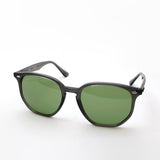 レイバン サングラス Ray-Ban RB4306 687382 54 ボストン グレー系
