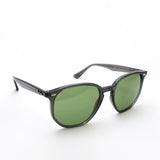 レイバン サングラス Ray-Ban RB4306 687382 54 ボストン グレー系