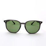 レイバン サングラス Ray-Ban RB4306 687382 54 ボストン グレー系