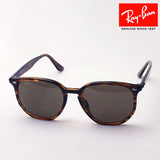 Ray-Ban Sunglasses Ray-Ban RB4306F 82073
