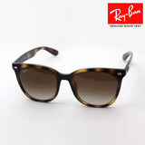 Ray-Ban Sunglasses Ray-Ban RB4379D 71013