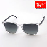 Ray-Ban Sunglasses Ray-Ban RB4387F 134911