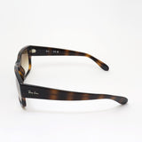 Gafas de sol Ray-Ban Ray-Ban RB4388 71051