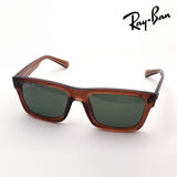 射线河偏光太阳镜雷 - 河RB4396F 66789A沃伦