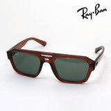 Ray-Ban太阳镜Ray-Ban RB4397 667882 KOLIGAN
