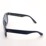 Ray-Ban Sunglasses Ray-Ban RB4407 67304L