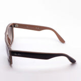 Ray-Ban sunglasses Ray-Ban RB4407 673113