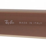Ray-Ban sunglasses Ray-Ban RB4407 673113