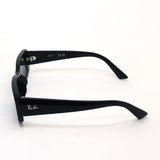 レイバン サングラス Ray-Ban TERU テル RB4425F 667787 54 スクエア