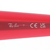 レイバン サングラス Ray-Ban RB4427 676084