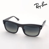 Ray-Ban太阳镜Ray-Ban RB4428F 667571