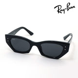 レイバン サングラス Ray-Ban RB4430F 667787 52 バタフライ