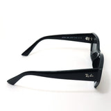 レイバン サングラス Ray-Ban RB4430F 667787 52 バタフライ