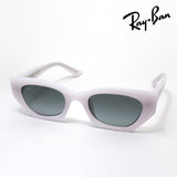 レイバン サングラス Ray-Ban RB4430F 675911