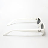 レイバン サングラス Ray-Ban RB4436D 677287 55 スクエア