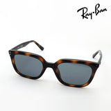 レイバン サングラス Ray-Ban RB4439D 71087 54