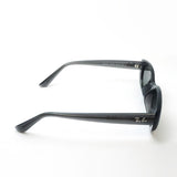 レイバン サングラス Ray-Ban RB4441D 677787 53