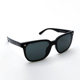 レイバン サングラス Ray-Ban RB4466D 60187 47