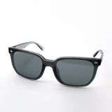 レイバン サングラス Ray-Ban RB4466D 645087 47