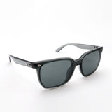レイバン サングラス Ray-Ban RB4466D 645087 47
