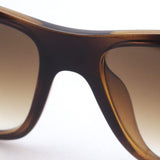 Ray-Ban sunglasses Ray-Ban RB4547F 71051