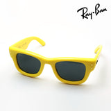 レイバン サングラス Ray-Ban WAYFARER PUFFER ウェイファーラー パファー RB4940 683087 50