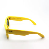 レイバン サングラス Ray-Ban WAYFARER PUFFER ウェイファーラー パファー RB4940 683087 50