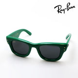 レイバン サングラス Ray-Ban WAYFARER PUFFER ウェイファーラー パファー RB4940 683487 50